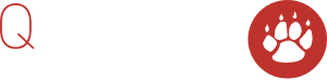 Qtech Logo Light