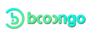 provider booongo
