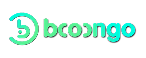 provider booongo