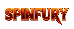 provider Spin Fury